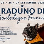 Raduno Bulldog Francese – Hotel Imperiale Bellaria – Settembre 2026