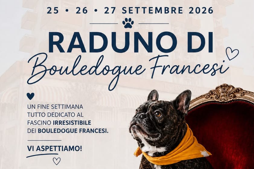 raduno bulldog francese