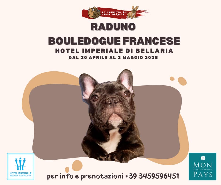Raduno bouledogue francese maggio 2026