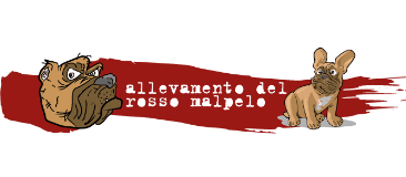 logo rosso malpelo Sito